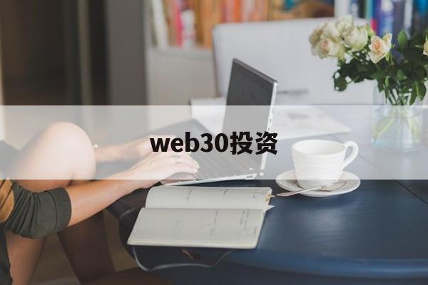 web30投资(netnet投资)